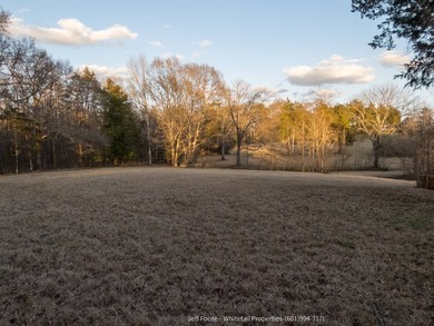 This 25.48+/- acre property in Hinds County combines residential - photo 21