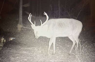 This 25.48+/- acre property in Hinds County combines residential - photo 25