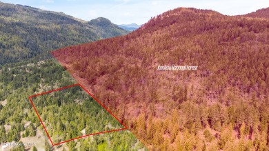Lake Pend Oreille Acreage For Sale in Sagle Idaho