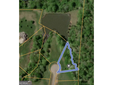 (private lake, pond, creek) Lot For Sale in Demorest Georgia