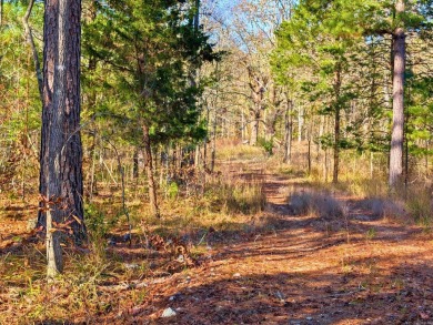 Lake Acreage For Sale in Jessieville, Arkansas
