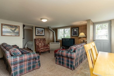 This charming four-unit resort on Lake Emily boasts 2,276 square - photo 15