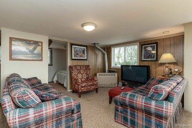 This charming four-unit resort on Lake Emily boasts 2,276 square - photo 31