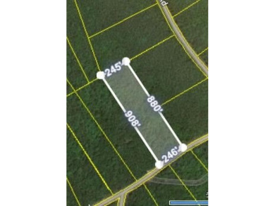 Lake Acreage For Sale in Wilder, Tennessee