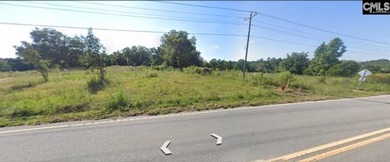 Lake Commercial For Sale in Chapin, South Carolina