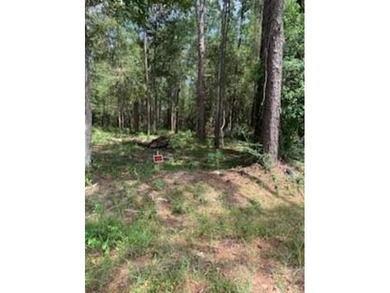 Lake Pontchartrain Lot For Sale in Lacombe Louisiana