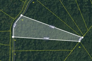 Lake Acreage For Sale in Wilder, Tennessee