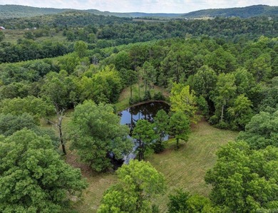 Incredible investment opportunity on the Kings River! This - photo 42