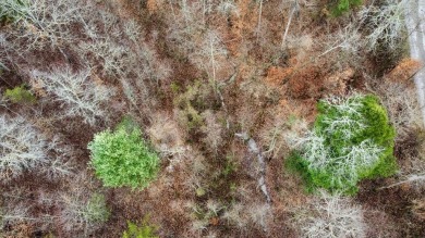 Lake Lot For Sale in Pioneer, Tennessee