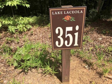 Lake Acreage For Sale in Cleveland, Georgia