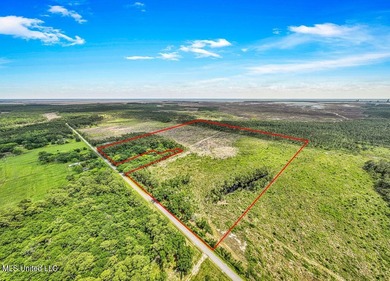 Located on Bayou Cumbest Road in Moss Point, this 42.51-acre - photo 1