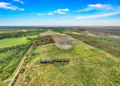 Located on Bayou Cumbest Road in Moss Point, this 42.51-acre - photo 2