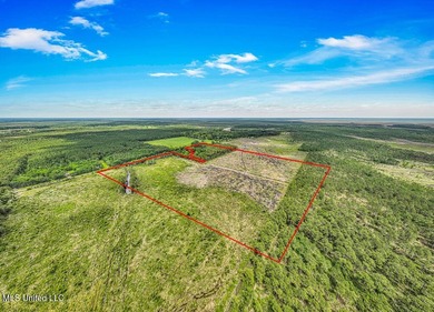 Located on Bayou Cumbest Road in Moss Point, this 42.51-acre - photo 3