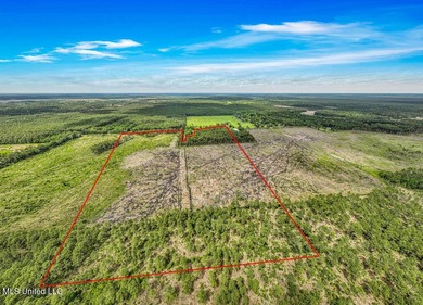 Located on Bayou Cumbest Road in Moss Point, this 42.51-acre - photo 4