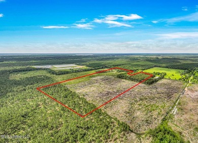 Located on Bayou Cumbest Road in Moss Point, this 42.51-acre - photo 5