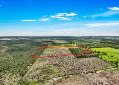 Located on Bayou Cumbest Road in Moss Point, this 42.51-acre - photo 6