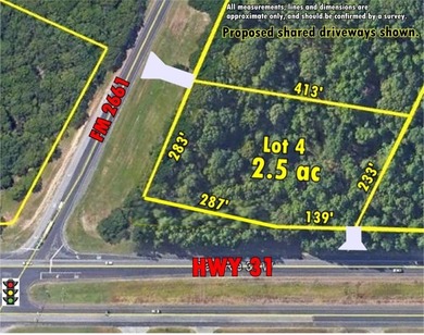 Lake Palestine Commercial For Sale in Tyler Texas