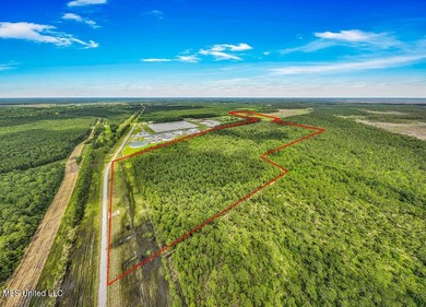 62.83 acres located on Bayou Cumbest Road in Moss Point - photo 3