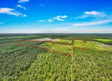 62.83 acres located on Bayou Cumbest Road in Moss Point - photo 5