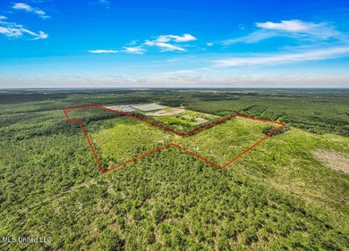 62.83 acres located on Bayou Cumbest Road in Moss Point - photo 6
