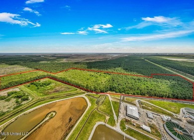 62.83 acres located on Bayou Cumbest Road in Moss Point - photo 10