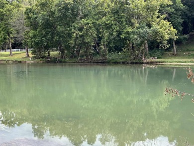 (private lake, pond, creek) Lot For Sale in Mammoth Spring Arkansas