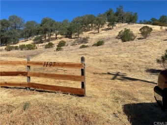 Lake Acreage Off Market in Lakeport, California