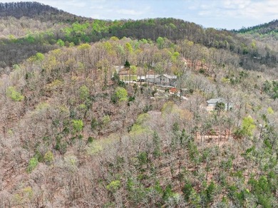 Cornerstone Parkway, West Pointe- Private, gated, wooded 4.55 - photo 13