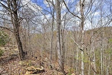 Cornerstone Parkway, West Pointe- Private, gated, wooded 4.55 - photo 20