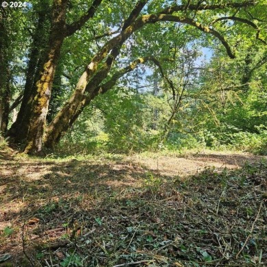 Columbia River - Clark County Acreage For Sale in Washougal Washington