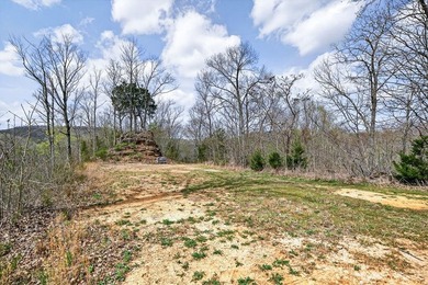 Cornerstone Parkway, West Pointe- Private, gated, wooded 4.55 - photo 21