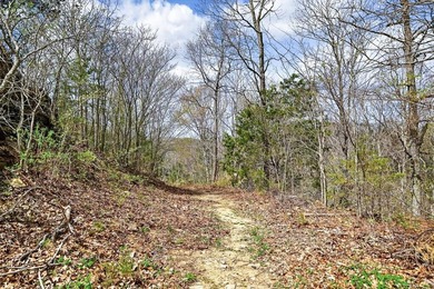Cornerstone Parkway, West Pointe- Private, gated, wooded 4.55 - photo 22