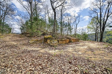 Cornerstone Parkway, West Pointe- Private, gated, wooded 4.55 - photo 23