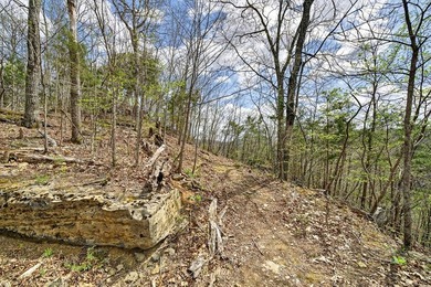 Cornerstone Parkway, West Pointe- Private, gated, wooded 4.55 - photo 24