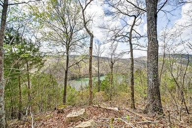 Cornerstone Parkway, West Pointe- Private, gated, wooded 4.55 - photo 25