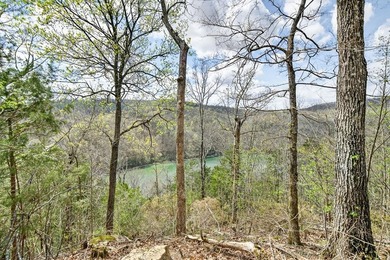 Cornerstone Parkway, West Pointe- Private, gated, wooded 4.55 - photo 26