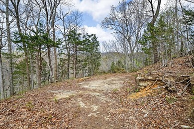 Cornerstone Parkway, West Pointe- Private, gated, wooded 4.55 - photo 27