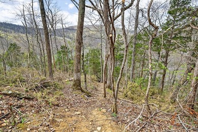 Cornerstone Parkway, West Pointe- Private, gated, wooded 4.55 - photo 28