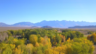 Lake Acreage For Sale in Mackay, Idaho