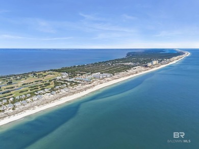 Welcome to your next turn key beach investment opportunity full - photo 47