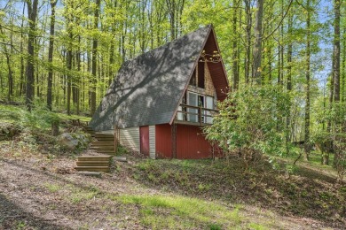 Lake Home For Sale in Addison, Pennsylvania