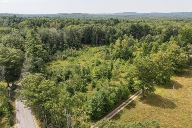 Lake Acreage For Sale in Waterboro, Maine