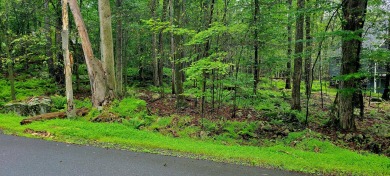 Lake Lot For Sale in Clifton, Pennsylvania