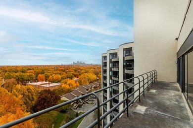 Rare Top-Floor Penthouse with unbelievable Views of Bde Maka Ska - photo 5