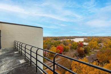 Rare Top-Floor Penthouse with unbelievable Views of Bde Maka Ska - photo 6