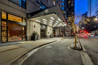 Lake Michigan - Cook County Condo For Sale in Chicago Illinois