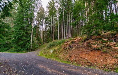 (private lake, pond, coastal) Lot For Sale in Longview Washington