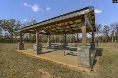 Come discover Woodside Shores, a refreshing new lakefront - photo 15