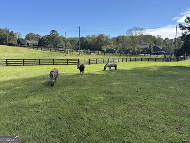 Positioned at the intersection of sophisticated Southern living - photo 19