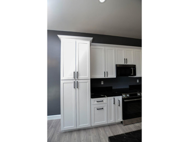 Designed by Architect Bill Easton, this Brand New 3 bed 2 bath - photo 21